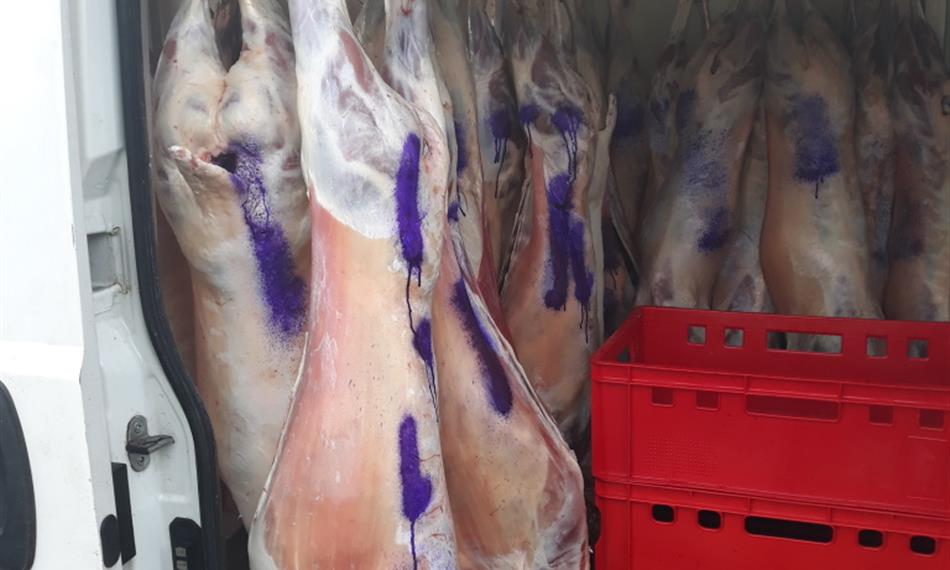 2019-12-23-1219foto 6.jpg